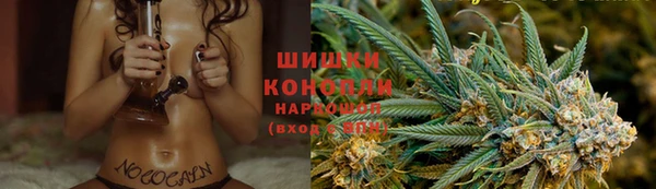 PSILOCYBIN Бронницы