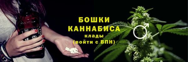PSILOCYBIN Бронницы