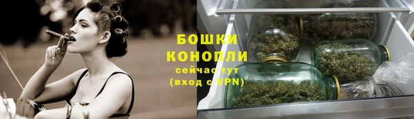 крисы Бугульма