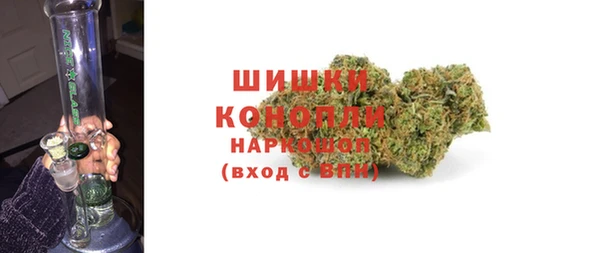 крисы Бугульма