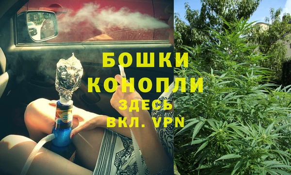 крисы Бугульма