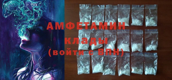хмурый Бородино