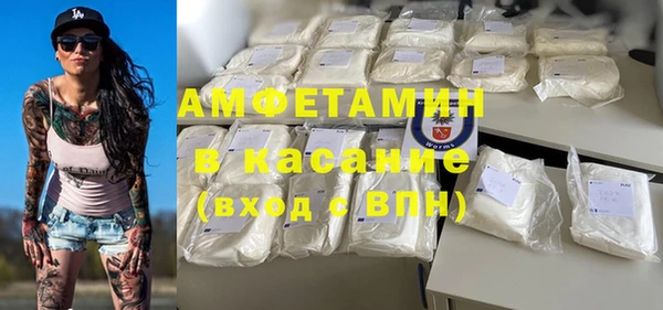 хмурый Бородино