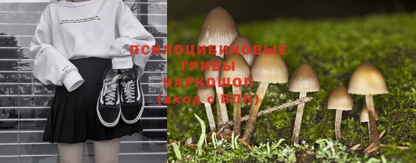 крисы Бугульма